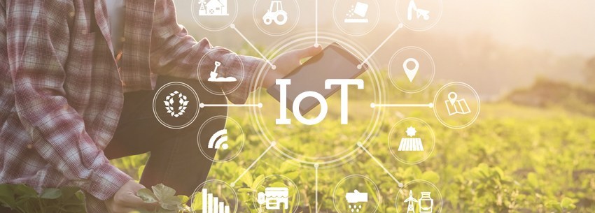 How IoT Increases Agricultural Productivity, Simplifies Precision Farming