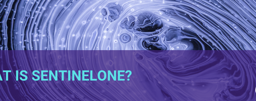 What Is SentinelOne?