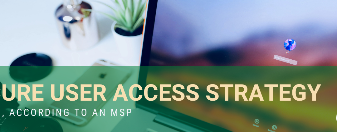 Five Steps to a Secure User Access Strategy: Tips from a Managed Service Provider